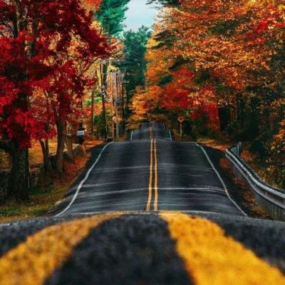 best365网页版登录