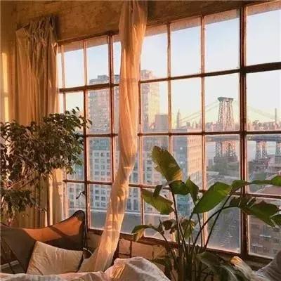 m6米乐官方入口app下载