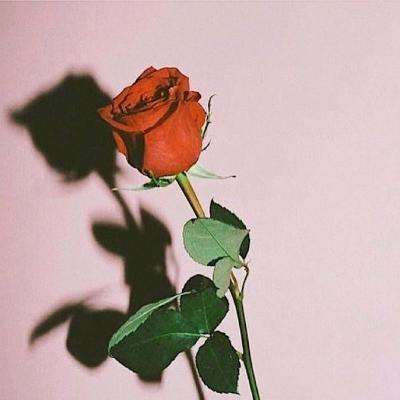 ag亚洲游戏国际平台