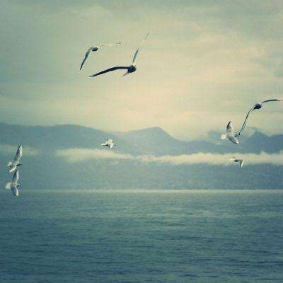 AG官方平台下载地址