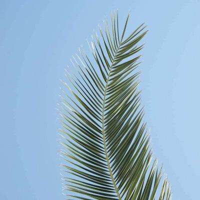 半岛官方体育网页登录截图