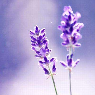 亚博AG娱乐下载手机版