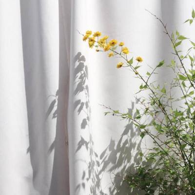 澳门王中王100%的资料下载手机版