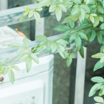 网络举报客户端