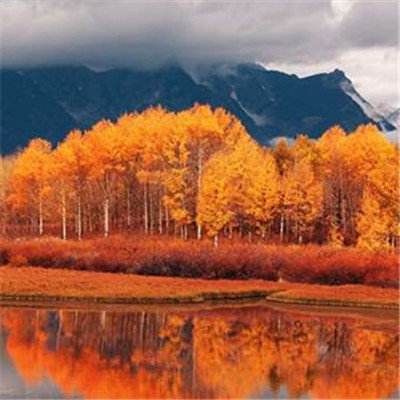 新利luck备用网址截图